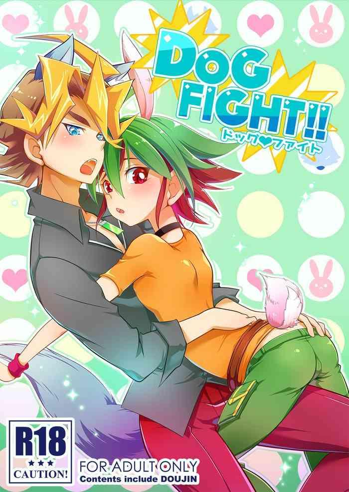 dog fight cover