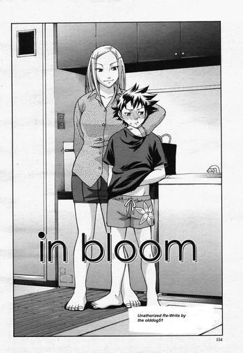 in bloom cover