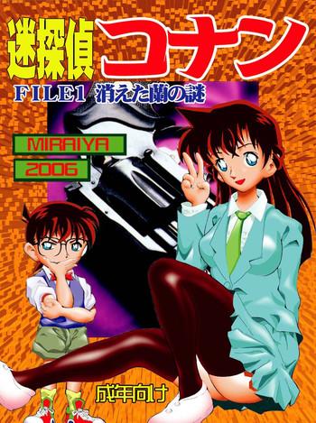 miraiya asari shimeji bumbling detective conan file01 the case of the missing ran detective conan cover