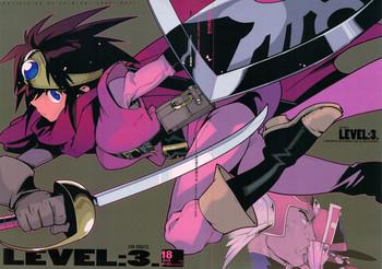 level 3 cover