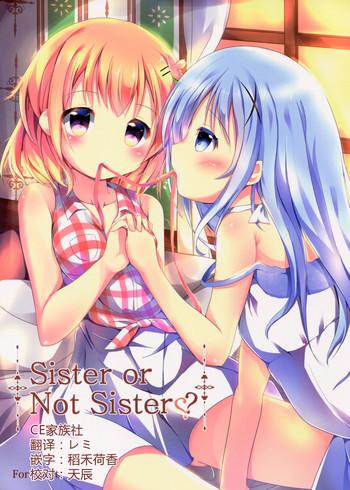 sister or not sister cover