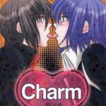 charm cover