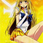 sailor venus cover