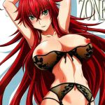 spiral zone dxd cover