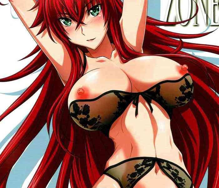 spiral zone dxd cover